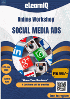 Onliine Workshop - Social Media ads 2024 Workshop Poster